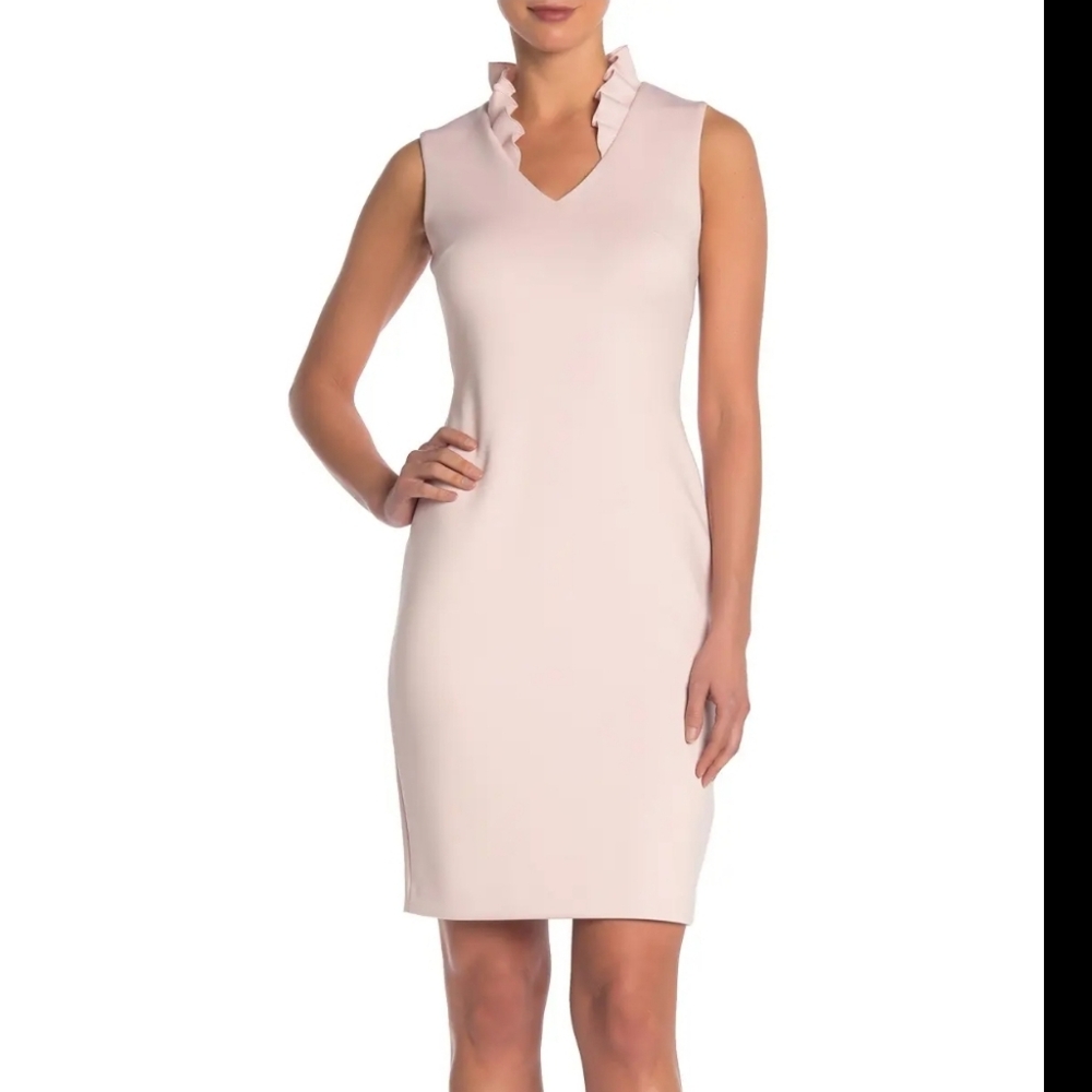 Calvin Klein Pastel Pink Ruffle Neck V-neck Coquette Feminine Dreamy Dress Sz 6P